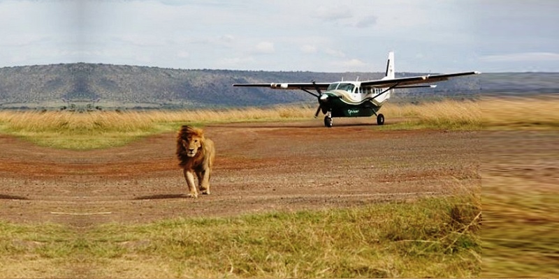 masai mara safari