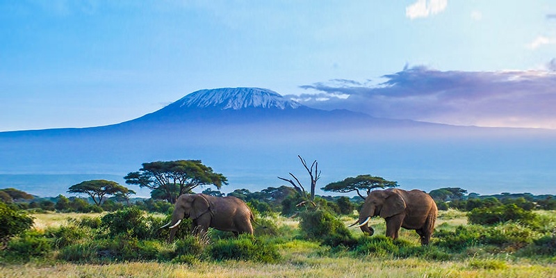 Amboseli National park