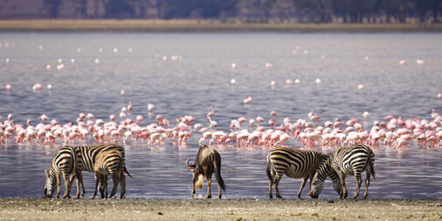 7-Days-Classic-Highlights-&-Cultural-Tour-to-Samburu-Lake-Nakuru-Lake-Naivasha-and-Masai-Mara-banner