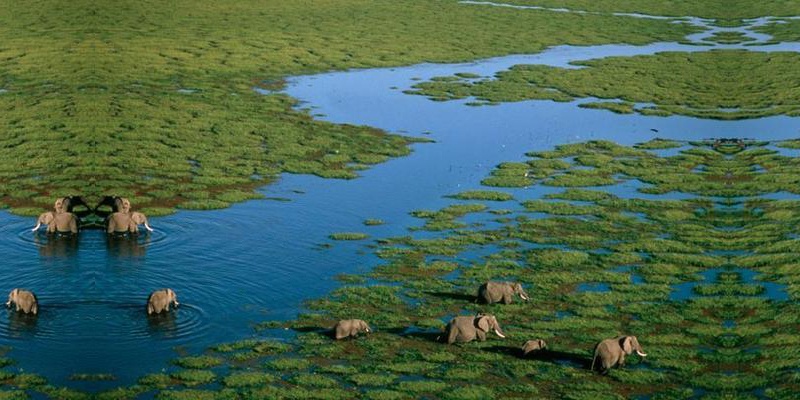 Amboseli safari tours Kenya