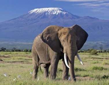 Kilimanjaro climbing routes