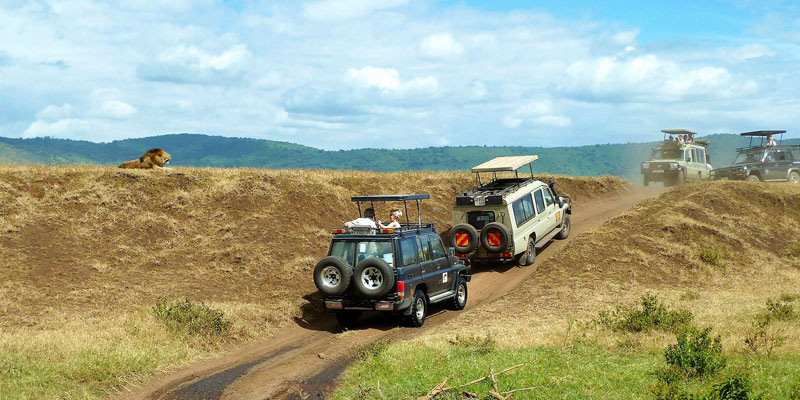 Kenya safari tours