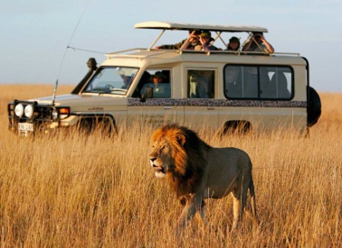 kenya-safaris