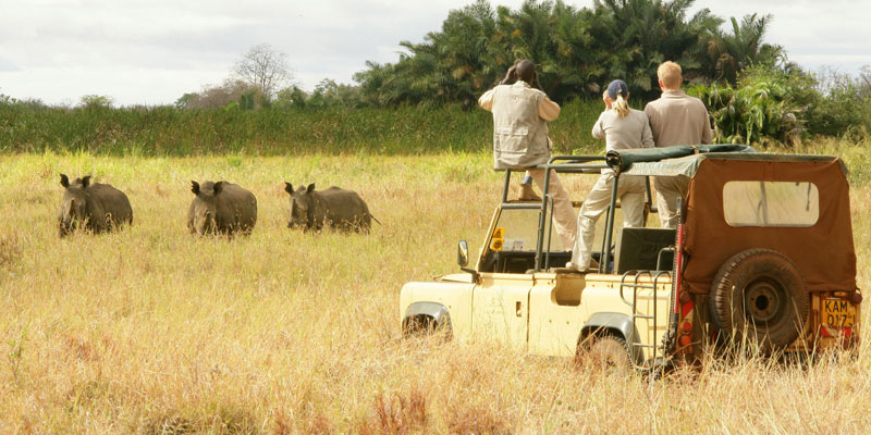 Kenya Masai Mara Safari from Nairobi