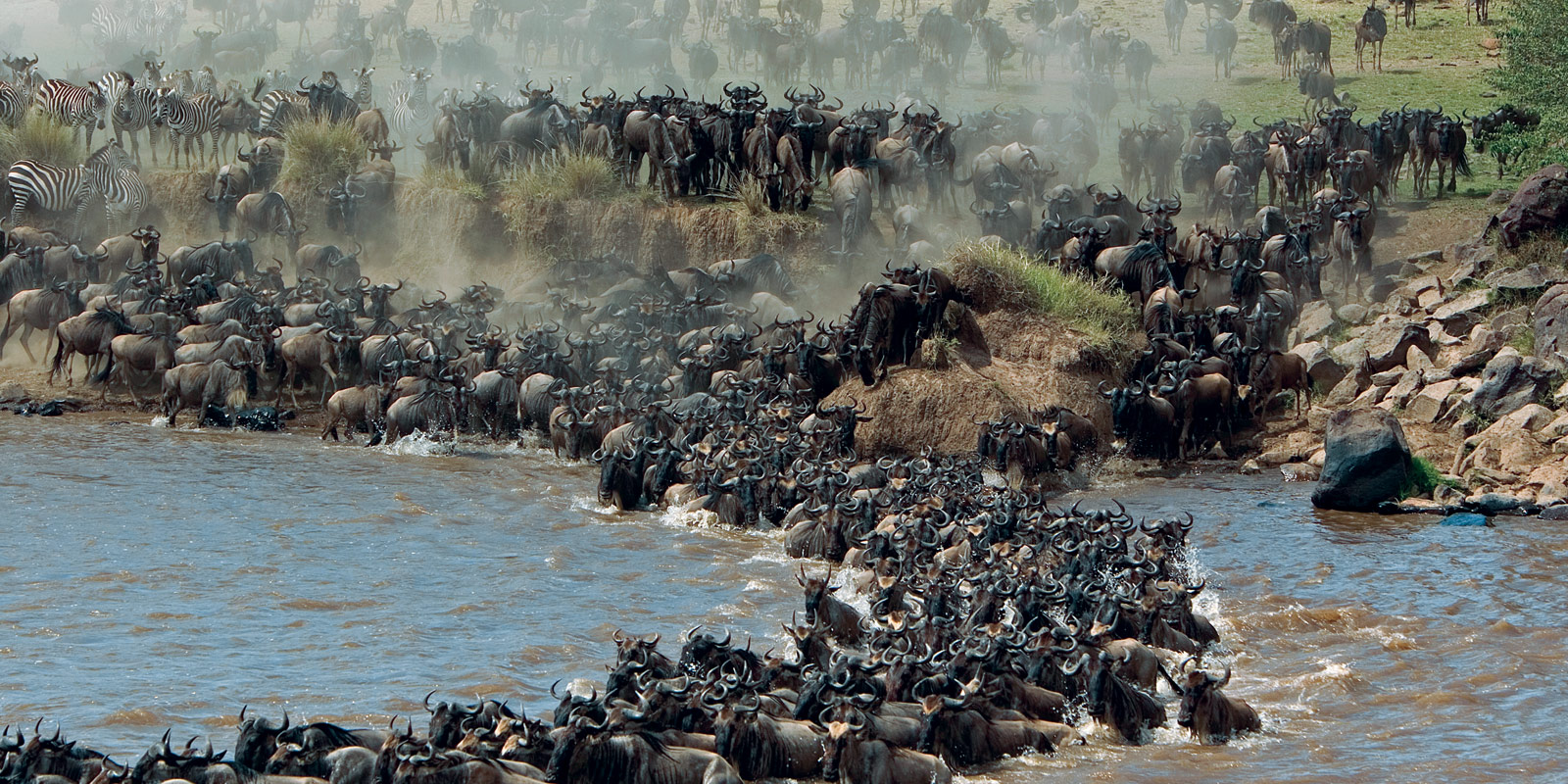 Best time to book safari in Kenya