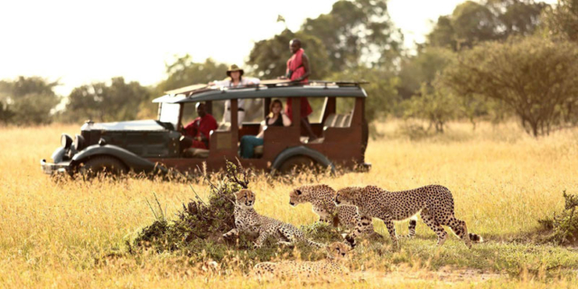 masai-mara-lake-nakuru-safari