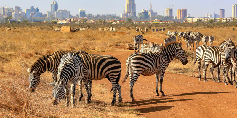 nairobi-national-park