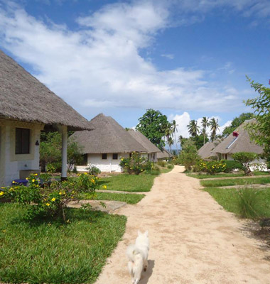 simba-oryx-beach-cottages