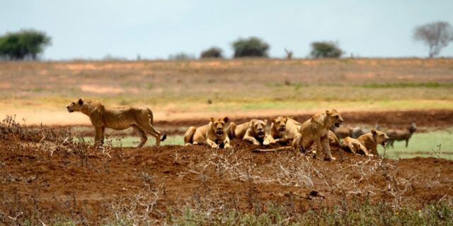 tsavo-east-national-park