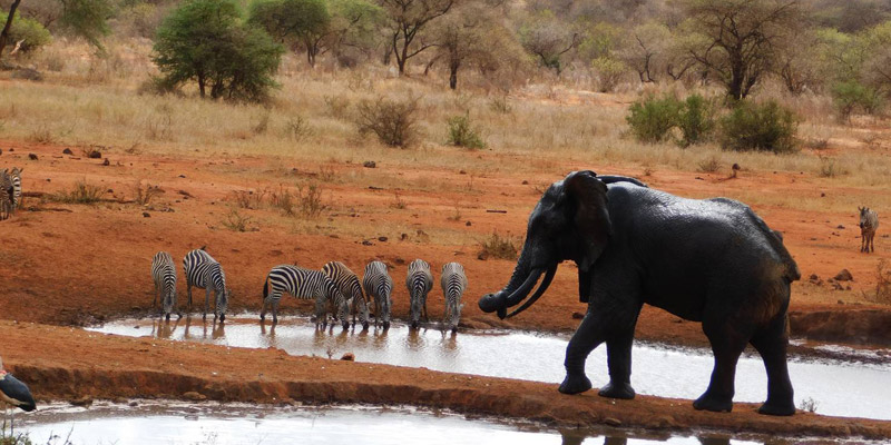 Kenya 2 days safari tsavo-west-national-park-taita-hills