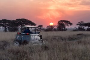 Best Kenya safari tours