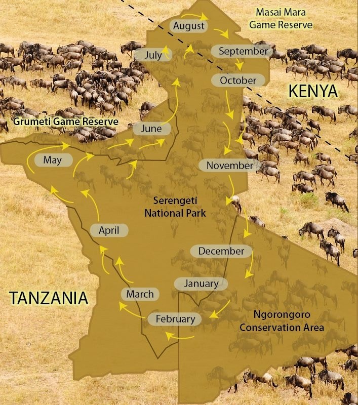 Kenya and Tanzania safaris