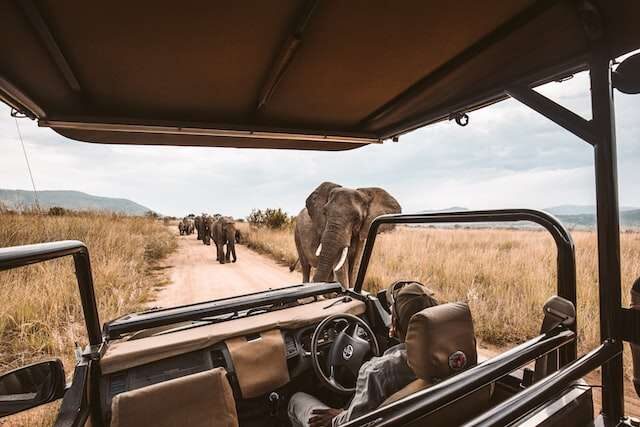 African Safaris