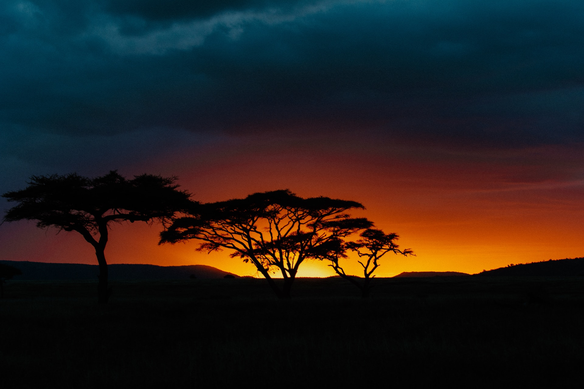 Reasons to Visit Tanzania