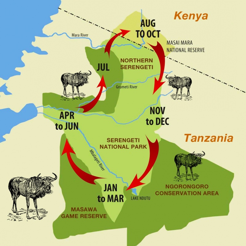 Kenya and Tanzania safaris