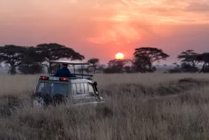 A photo of a Jeep on a safari ride