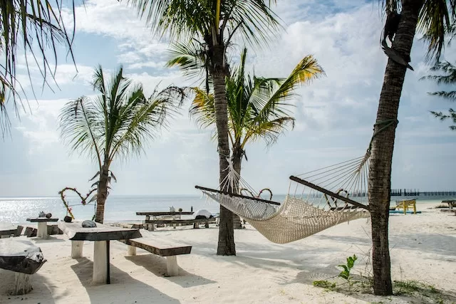 Exquisite Beaches of Zanzibar