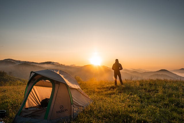 experience the African bush safely