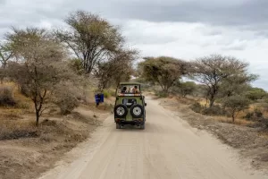 A safari vehicle driving down a dusty road in the African bush with passengers on board.